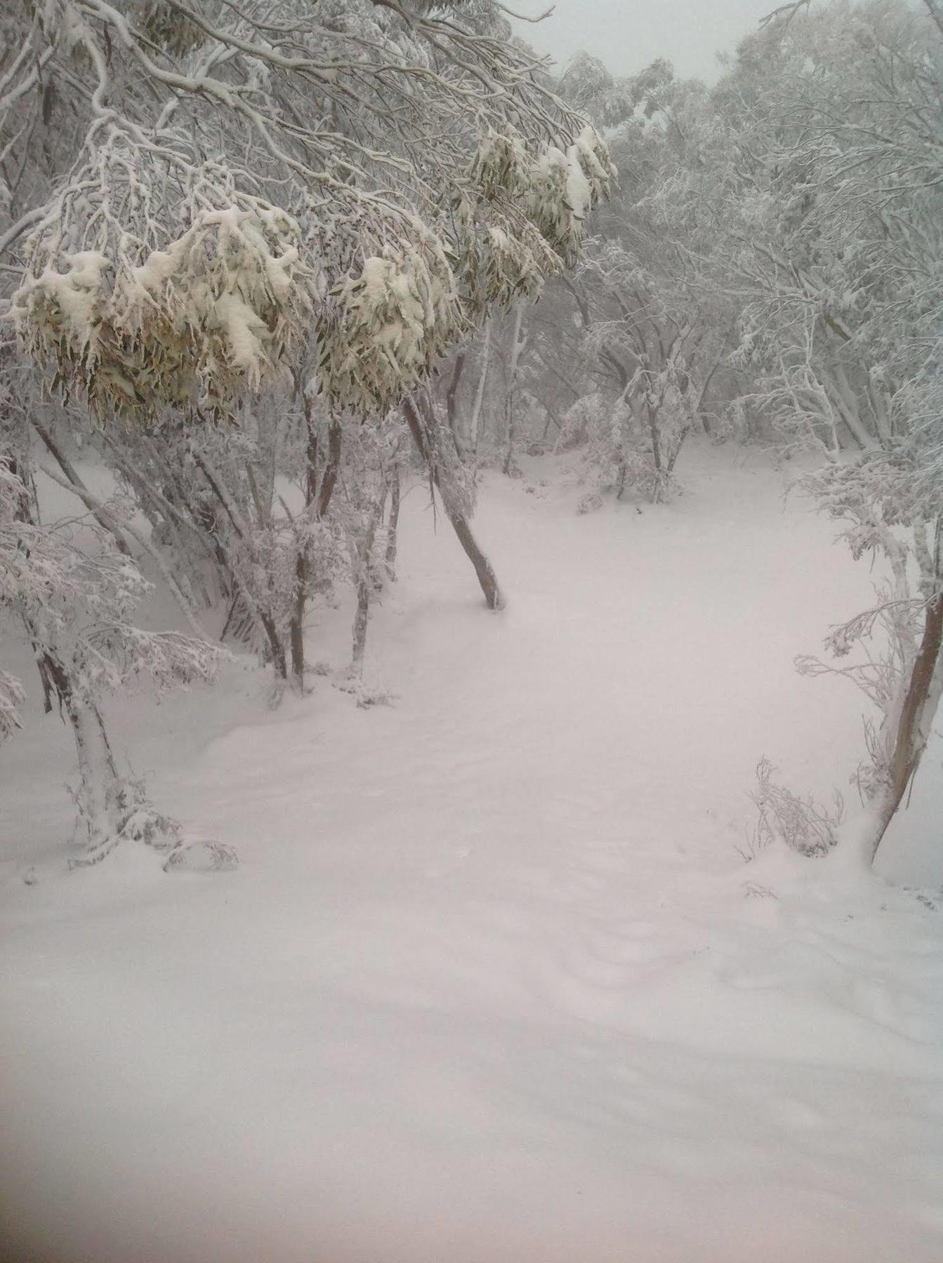 Terama Ski Lodge Mount Buller Eksteriør bilde